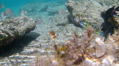 Digital Health: Key Knowledge in Digital Health Immersion Course - 3rd Edition